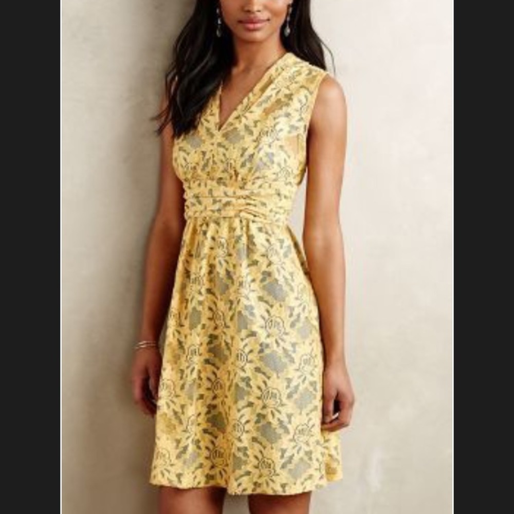 HP 💕Anthropologie lace dress with slip lining NWT